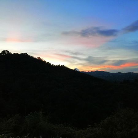 Hotel Glamping La Montana Sagrada Medellín Zewnętrze zdjęcie
