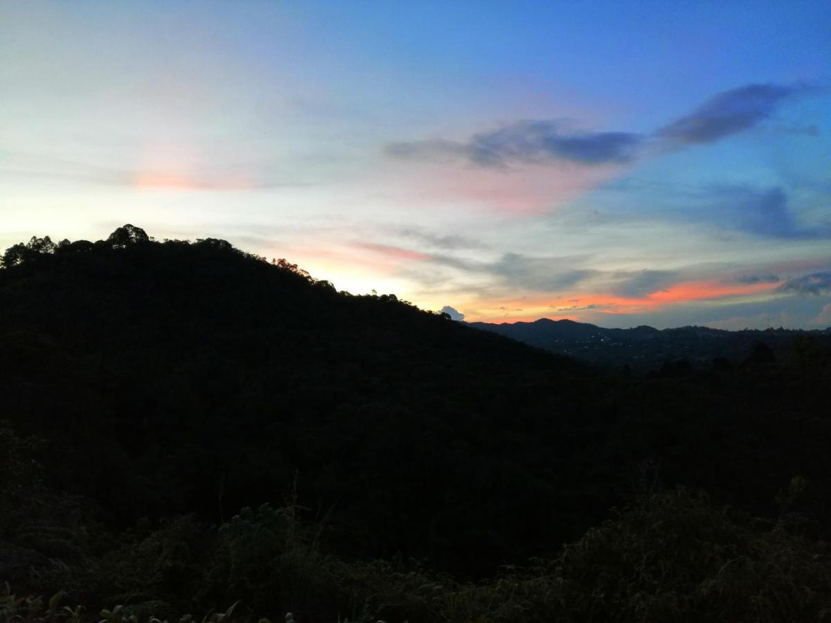 Hotel Glamping La Montana Sagrada Medellín Zewnętrze zdjęcie